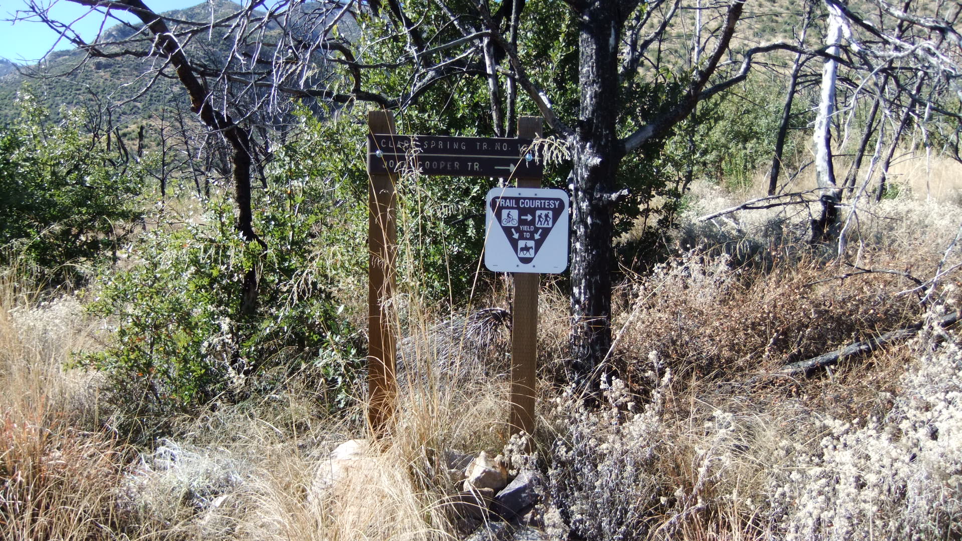 Description of the Miller Canyon Trail Huachucas